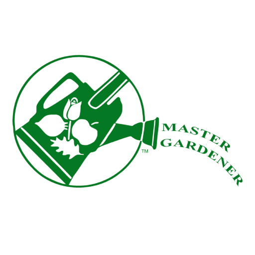 You are currently viewing Sustainable Practices and Soil Generation