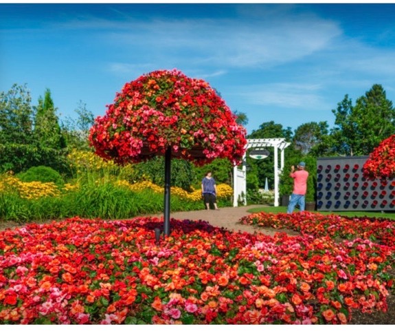 You are currently viewing Kingsbrae Garden, New Brunswick