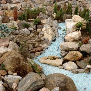 Xeriscaping – Not Just Cacti, Yucca and River Rock!