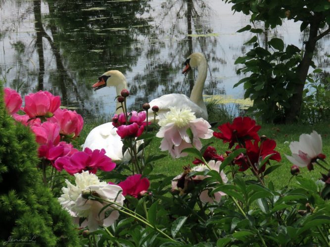 Whistling Botanical Gardens