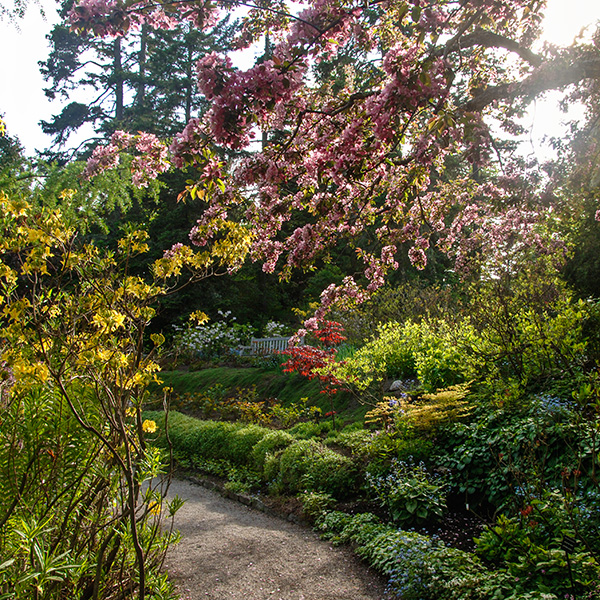 You are currently viewing Reford Gardens/Jardins de Metis